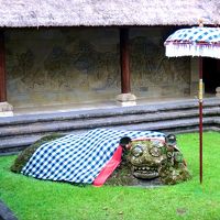 トラだそうです。かなりいい感じです。