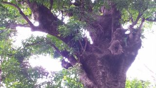 パワースポット