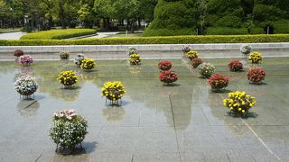 水に浮かぶように花鉢がいくつも置かれて、とてもきれい
