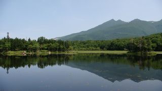 知床連山を映す