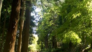 緑が多く気持ちがいいです。