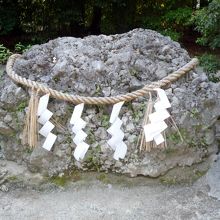 さざれ石　国歌に歌われています