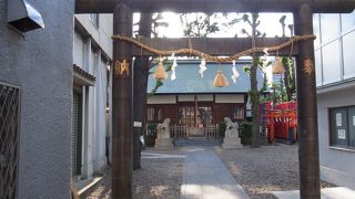 鳥居が並びます。