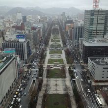 大通公園の眺め