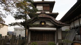 ひょろっとした高さには風雅な印象も持ちました