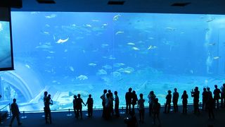 スケールが大きい