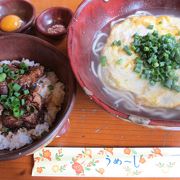 数量限定のあぶりソーキ丼も食べられた！