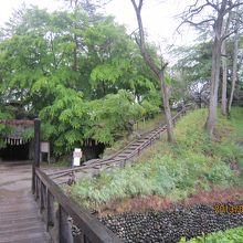 右側の少し小高い場所が「大王さまの見張り台」