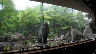 ランチメニューと景色が良い♪