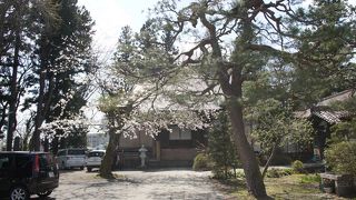 白虎士中二番隊長、日向内記の墓