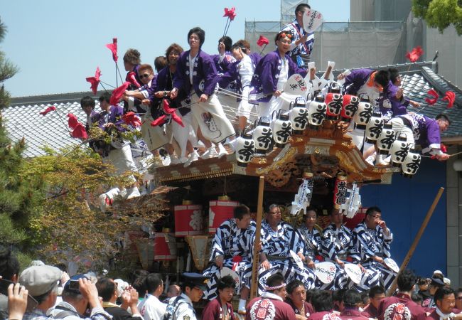 ゴールデンウィークに観られるだんじり祭り♪