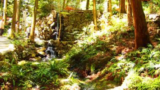 マイナスイオンたっぷり！