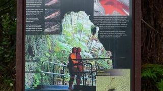 溶岩のトンネル