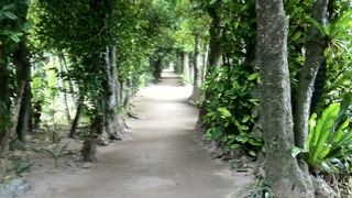 沖縄本島にこんなところが…