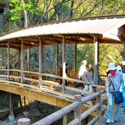 屋根付きの珍しい橋です