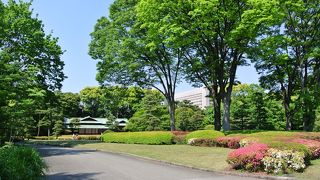 花と自然を満喫