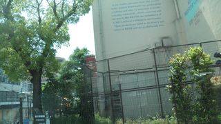 観光の休憩場所にいい♪