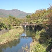 早川は芦ノ湖北端の「湖尻水門」で、水量がを調節されて流れています。