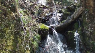 鶴のように長い白い滝！