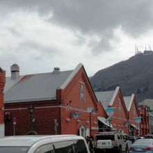 向こうに見える山が函館山です。