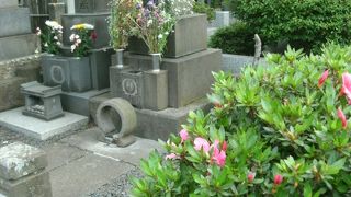 お向かいさんが鴎外の墓