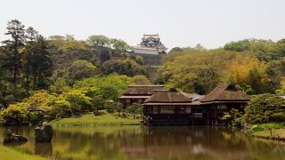 彦根城撮影の場所はここで！