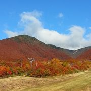 爽快な紅葉ドライブが楽しめる