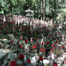 小さなキツネがいっぱい