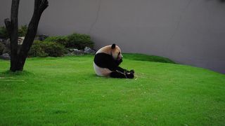 子連れにはかなりお勧め！！！