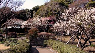 小堀遠州作といわれている二の丸庭園