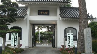 大きなお寺、文学散歩にお参り