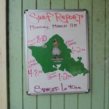 サーフ・リポート