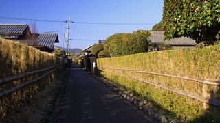 竹・ウバメガシの生垣が特徴的な武家屋敷