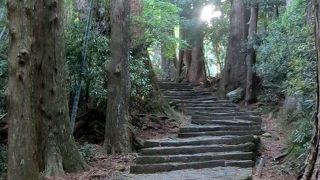熊野古道の大門坂を歩く