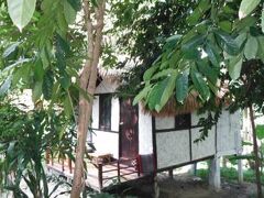 ゲッコー ライプ リゾート 写真