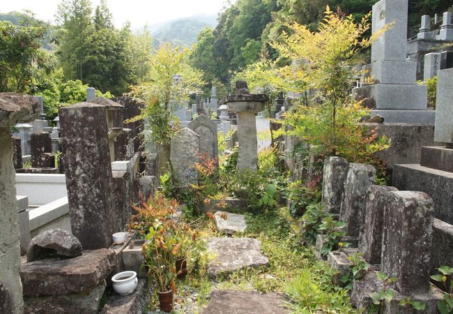 中野逍遥の墓