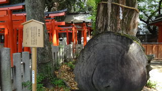 復活の信仰の対象だそうです