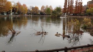 大きな池のある癒しの空間です。