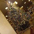 ロビーに大きなクリスマスツリーがありました。