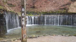 水がきれいです