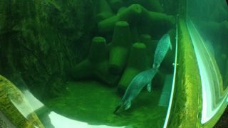 動物園リノベーションの元祖