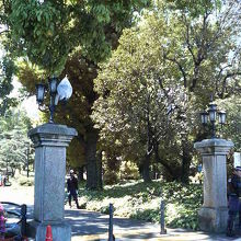 デモの警備で物々しい雰囲気でした。