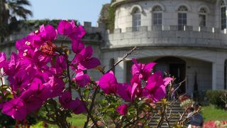 鬱金香花園 （チューリップガーデン）