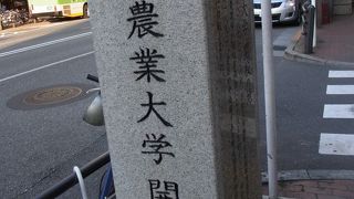 石碑があります