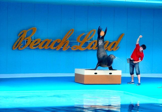 南知多ビーチランド クチコミ アクセス 営業時間 美浜 フォートラベル 南知多ビーチランド クチコミ アクセス 営業時間 美浜 フォートラベル
