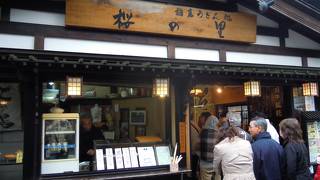 よくばりセット（稲庭うどん＋比内地鶏親子丼セット）・・「桜の里」～角館～