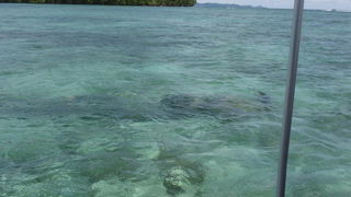 不時着したゼロ戦がくっきり見える！