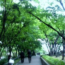 仕事帰りのサラリーマンも歩く