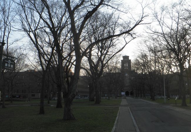 立派な農学部の建物の地下にある学生食堂