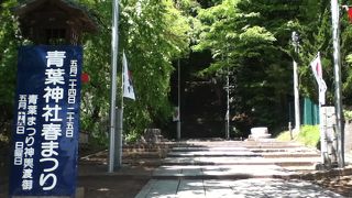 すずめ踊りが祭りのメインと思っている人ばかりで祭りの意味を忘れていませんかというほど人がいない